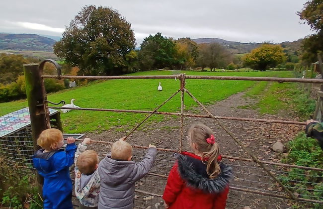 Idlewild Animal Sanctuary Farmhouse Stay - Charity - Photo 40