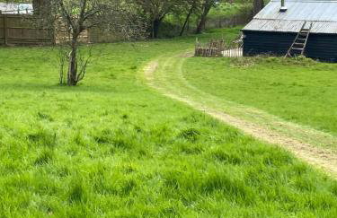 The Old Apple Shed cosy heated cottage in a meadow close to the charming village of Bethersden - Photo 6