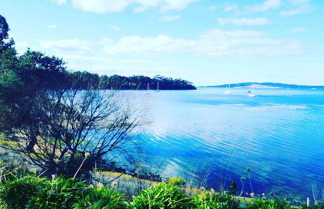 Applebay Guest House - Foto 48