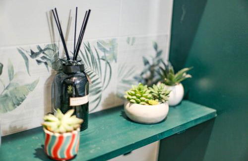 Jungle Studio - 2P à 4P -Henriville - Foto 6