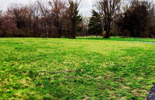 Wolf's Cabin-Walk to Downtown Noblesville - Foto 40