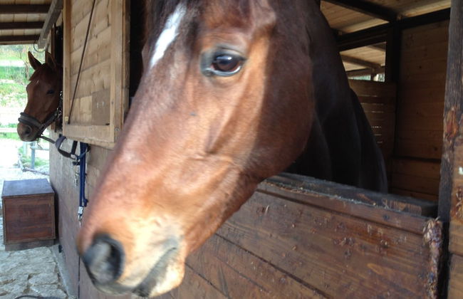 Agriturismo Paradiso - Foto 12