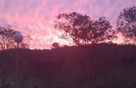 Celeiro Verde - Foto 16