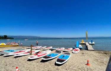 La Résidence Fleurie, vue sur le Lac Léman - Foto 47