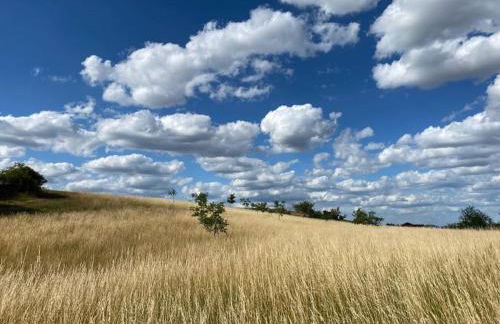 Ferienwohnungen Bauernschmause - Foto 53