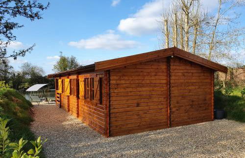 Kingfisher Cabin - Foto 17