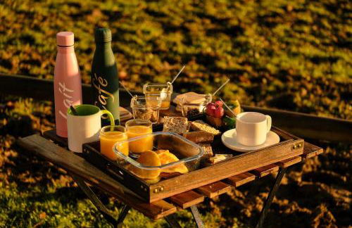 Homnest - Clairiere des Animaux - 1h de Toulouse - Photo 7