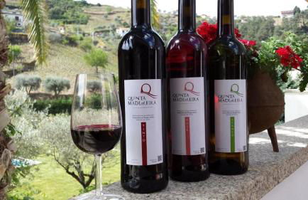 Quinta Madureira - Photo 12