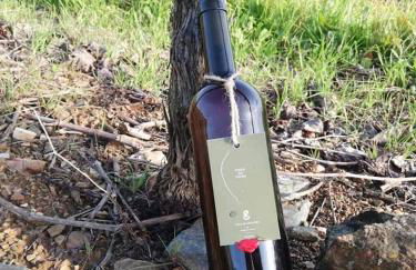 Casa Grainha Vidigueira - Foto 1