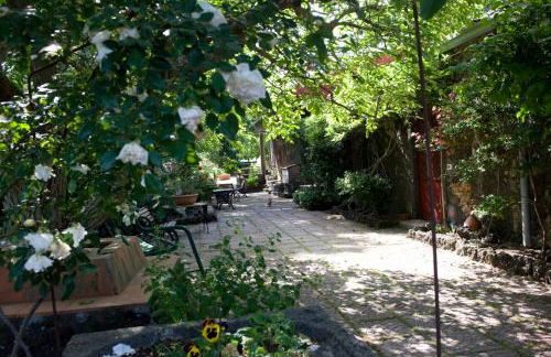 Cirasellaetna - Foto 59