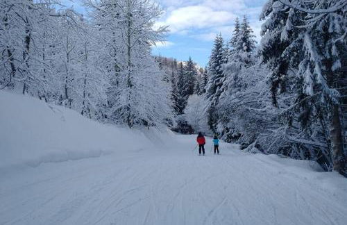 Chalet Apartment Oz Station 4 star T3 well equipped & next to pistes - Foto 19