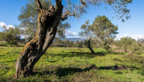 Blue House - Recently renovated - Foto 5