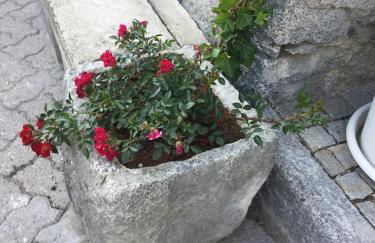 Milla Appartamento 4-6 letti - Pontagna -1km Ponte di Legno T04416 - Foto 17