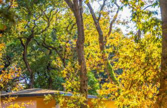 Residence Riva degli Etruschi - Foto 70