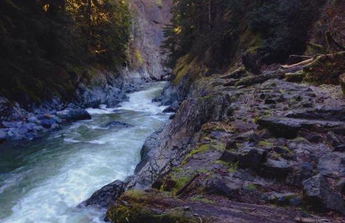 Mt Pilchuck River Cabin - Foto 33