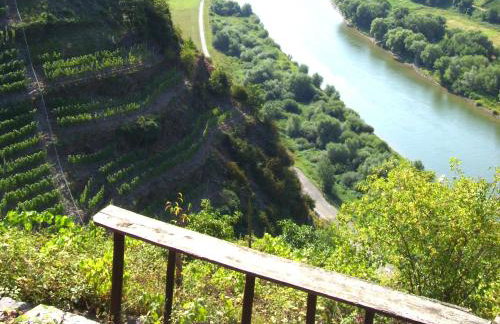 Ferienhaus Bullay - Foto 77