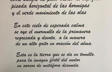 Apartamentos Turísticos ESCORRALADAS - Foto 8