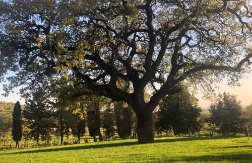 Agriturismo Il Broletto - Foto 19