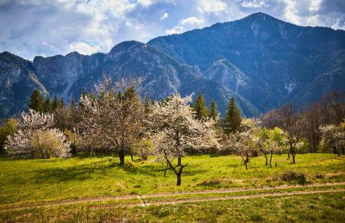 Pure Thermal Residence - Foto 31