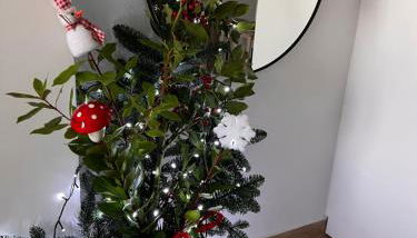 OpenSea #2 - Photo 5