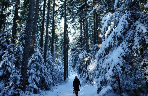 Ferienwohnung Wälderliebe - Foto 33