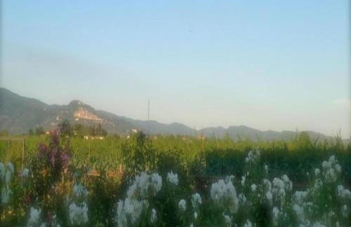 Rustic Charm, Modern Comfort - Foto 51