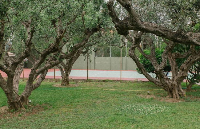 Studio Rio Unique Space With Garden and Garage - Foto 6