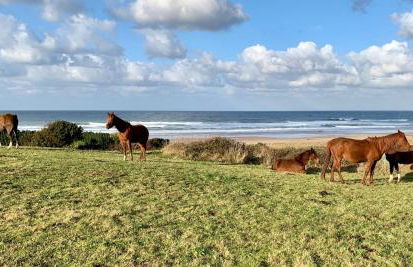 Casa Paloma - Foto 47