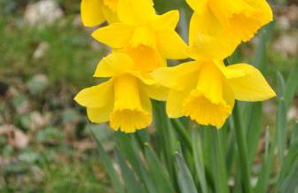 Elms Farm - Photo 26