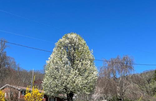 Mamaws Mountain View - Foto 38