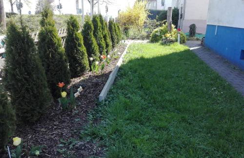 Gästezimmer Fuchs - Foto 7