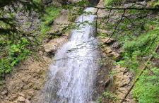 Hörnleblick - Foto 12