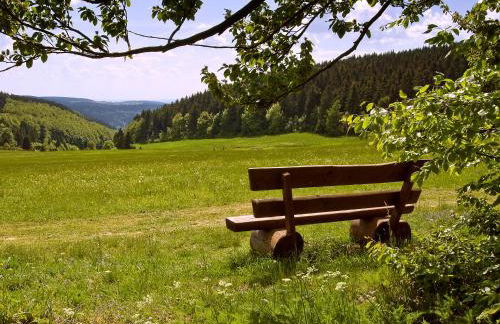 Ferienhaus Wurzelbergblick - Foto 17