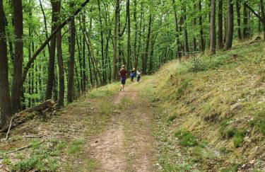 Landleben - Ferienhaus 2 - Foto 31