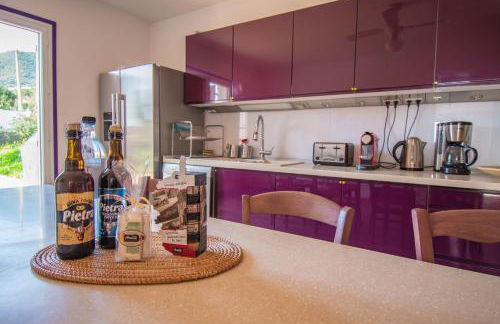 U Paradisu - Villa 10/12 pers avec piscine privée - Foto 2