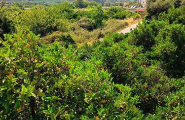 Veranda with Endless View among Orange Trees - Foto 8
