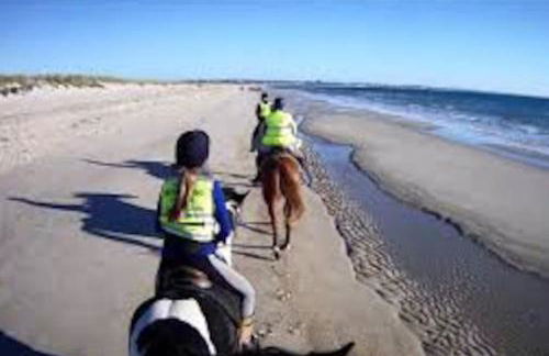 Spacious 5-Bedroom Victorian House Near Sandbanks - Sleeps 14, Parking & Garden - Foto 51