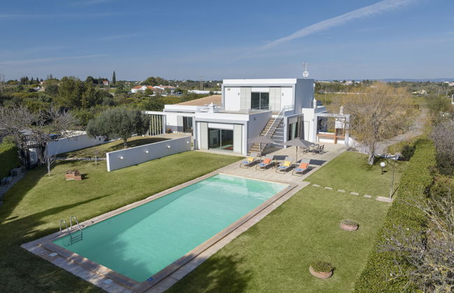 Almond Tree - Foto 25