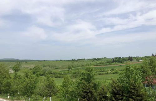 Apartment Majetić - Foto 12