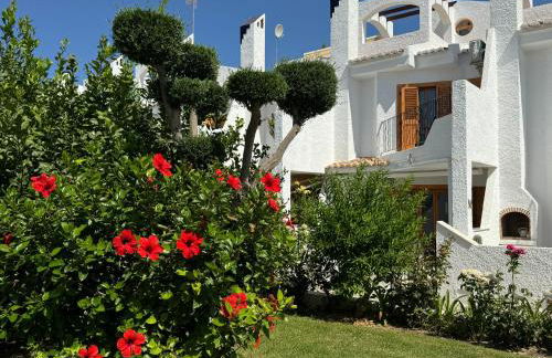 Contemporary House in Cabo Roig - Photo 4