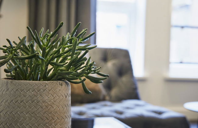 Apart Hotel De Bank - Photo 44