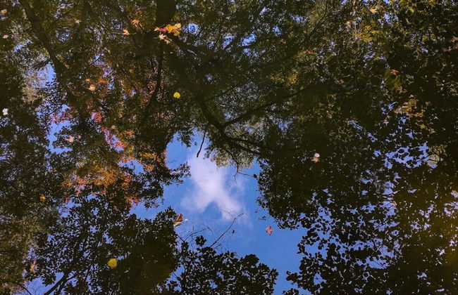 Brand New 2-bed Apartment With Patio - Foto 14