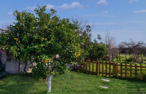 Owl's Nest - Foto 13