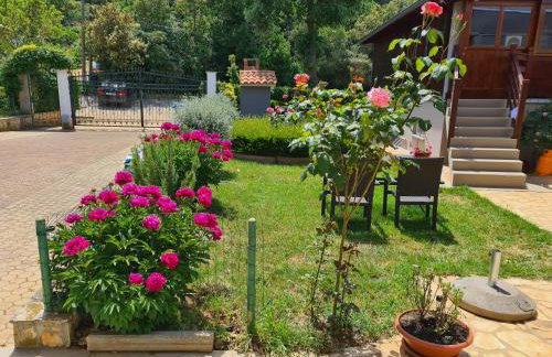 Apartments Šeherzada - Foto 63