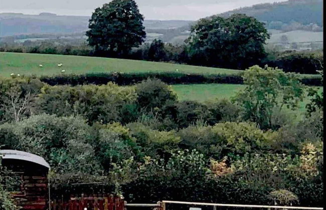 Cute and Cosy Shepard hut With Wood Fuel hot tub - Foto 41