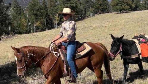 New! Historic Chalet in Colorado National Forest - Foto 3