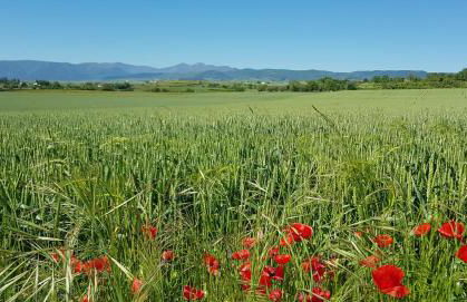 Apartamento Dúplex Golf Rioja Alta - Foto 23