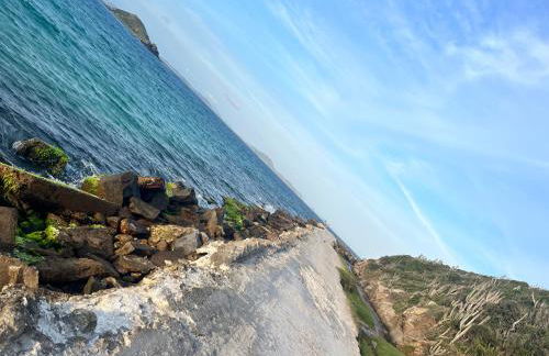 Guest House do Eliseu - Photo 17