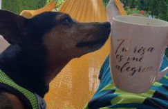 La casa del mar Nuimna - Foto 9