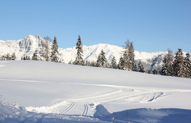 Haus Valle - Foto 27